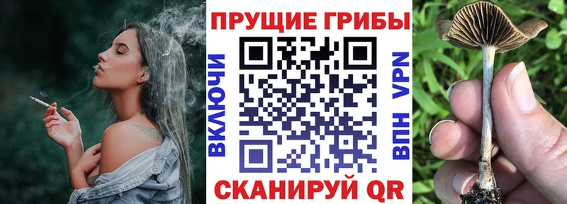 Галлюциногенные грибы MAGIC MUSHROOMS  hydra онион  Жирновск 